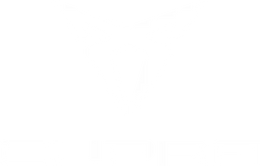 Logo of partner Cupra